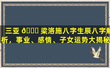 三亚 🍀 梁洛施八字生辰八字解析，事业、感情、子女运势大揭秘！
